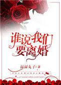 谁说我们要离婚 作者