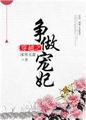 穿越之争做宠妃讲的什么故事