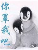 你罩我吧 晋江