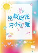 总裁捉住只小可爱免费
