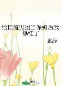 给顶流男团当保姆后我爆红了笔趣