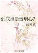 到底谁是玻璃心讲什么