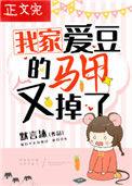 我家爱豆的马甲又掉了txt书包网