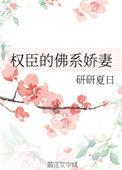 权臣的佛系娇妻晋江