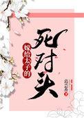 嫁给太子之后(重生)