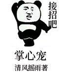 掌心宠全文阅读免费