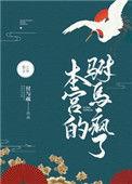 本宫的驸马疯了千千阅读
