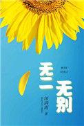 无二无别by沐清雨讲的什么