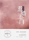 惹婚上门全文阅读