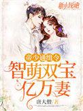 帝少追缉令天才萌宝亿万妻免费阅读