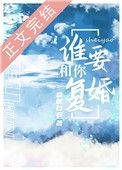 书名谁要和你复婚
