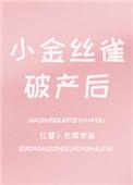 小金丝雀破产后晋江
