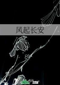 风起长安be