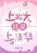 上北大还是上清华讲什么
