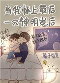 当我怀了最后一只神明崽后全文