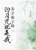 太子的白月光跑了