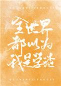 全世界都以为我是学渣盘