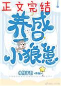 养了一只小狼崽免费