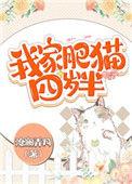 我的肥猫四岁半