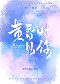 黄昏时见你怎么样