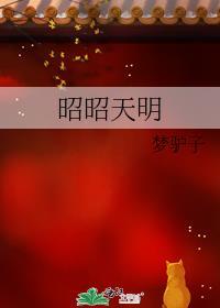 昭昭天明兵棋明军怎么玩