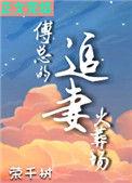 傅总的追妻火葬场74章