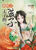 我怀了太子的孩子 作者沈青鲤
