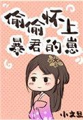 偷偷怀上暴君的崽宝书网