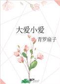 大爱和小爱有啥区别