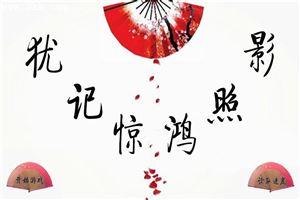 犹记惊鸿照影类似