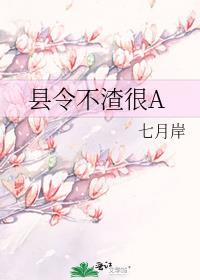 县令不渣很A百度