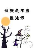 我就是不当魔法师by