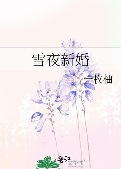 雪夜新婚by一枚柚笔趣阁