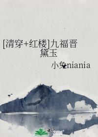 红楼之黛玉九福晋