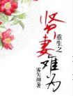 重生之贤妻难为晋江