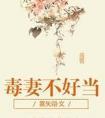毒妻不好当全文阅读
