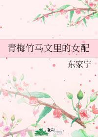青梅竹马文里的女配 东家宁