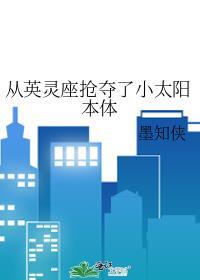 从英灵座抢夺了小太阳本体的
