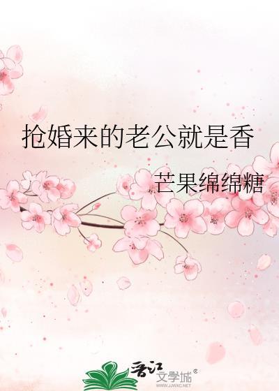 抢来的老公txt