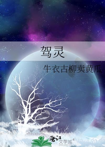 驾灵师