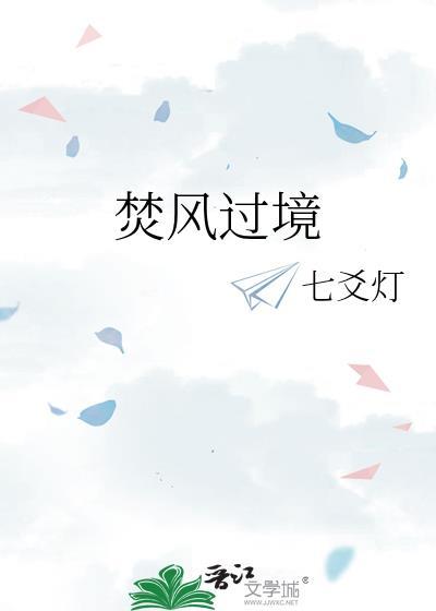 焚风过境txt全本