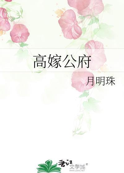 高嫁公府txt