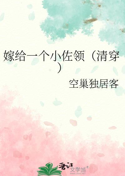 嫁给一个小佐领清穿