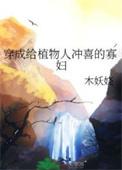 穿成给植物人冲喜的寡妇TXT免费阅读