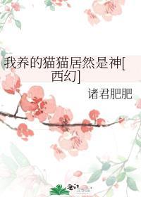 我养的猫有点怪