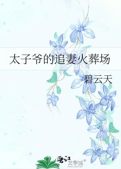 太子爷的追妻火葬场 碧云天TXT