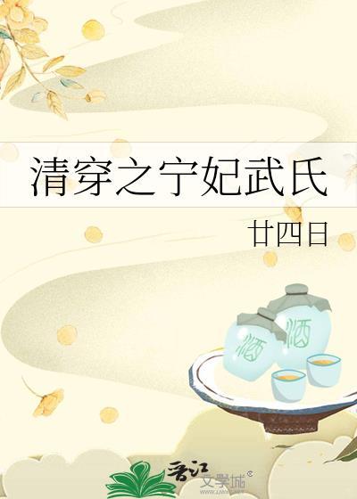 清穿之武氏宁妃