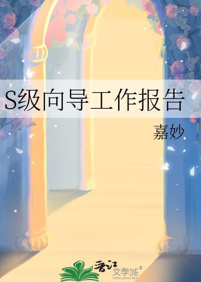 s级向导的工作报告