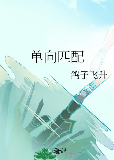 单向匹配番外TXT百度