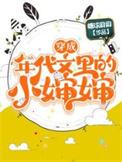 穿成年代文里的